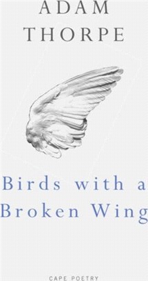 Birds With A Broken Wing