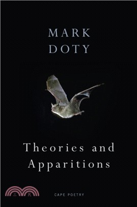 Theories and Apparitions