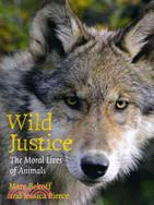 Wild Justice ─ The Moral Lives of Animals