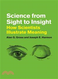 Science from Sight to Insight ─ How Scientists Illustrate Meaning