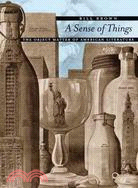 A sense of things :the object matter of American literature /