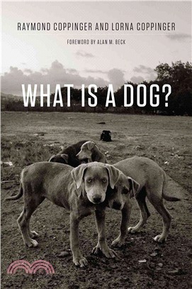 What Is a Dog?