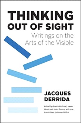 Thinking Out of Sight：Writings on the Arts of the Visible