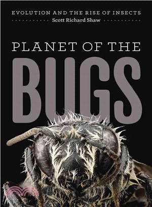 Planet of the Bugs ─ Evolution and the Rise of Insects