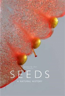 Seeds ─ A Natural History