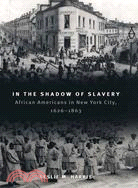 In the Shadow of Slavery ─ African Americans in New York City, 1626-1863