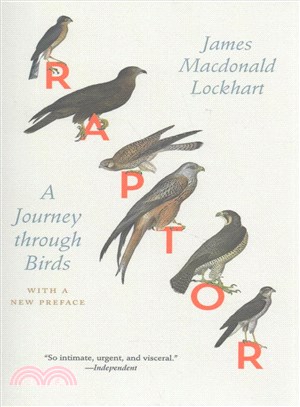 Raptor ─ A Journey Through Birds