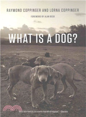 What Is a Dog?