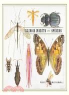 Illinois Insects And Spiders