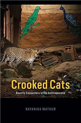 Crooked Cats：Beastly Encounters in the Anthropocene