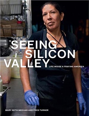 Seeing Silicon Valley：Life Inside a Fraying America