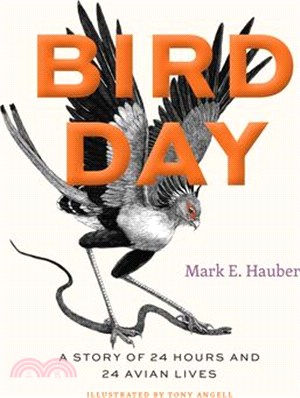 Bird Day: A Story of 24 Hours and 24 Avian Lives