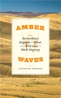 Amber Waves：The Extraordinary Biography of Wheat, from Wild Grass to World Megacrop