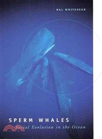 Sperm Whales ― Social Evolution in the Ocean