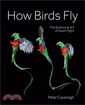 How Birds Fly: The Science and Art of Avian Flight