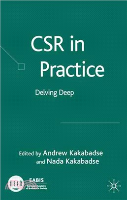 Csr in Practice: Delving Deep