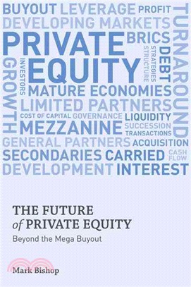 The Future of Private Equity—Beyond the Mega Buyout
