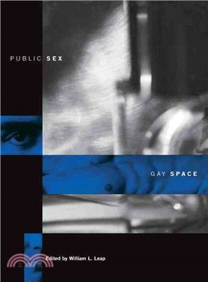 Public Sex/Gay Space