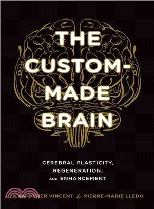 The Custom-Made Brain ─ Cerebral Plasticity, Regeneration, and Enhancement