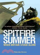 Spitfire Summer:When Britain Stood Alone