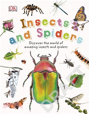 Insects and Spiders: Explore Nature with Fun Facts and Activities (Nature Explorers)