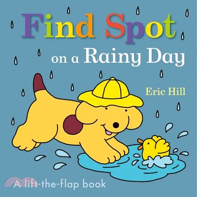 Find Spot on a rainy day /