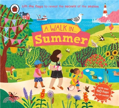A Walk in Summer：Lift the flaps to reveal the secrets of the season