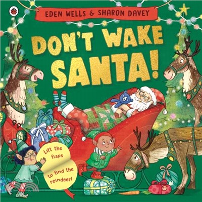 Don't Wake Santa：A lift-the-flap Christmas book
