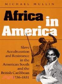 Africa in America ─ Slave Acculturation and Resistance in the American South and the British Caribbean, 1736-1831