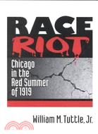 Race Riot ─ Chicago in the Red Summer of 1919