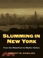 Slumming in New York: From the Waterfront to Mythic Harlem