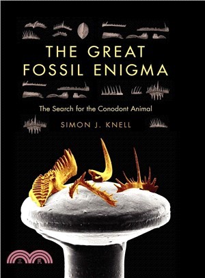 The Great Fossil Enigma ─ The Search for the Conodont Animal