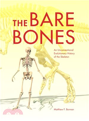 The Bare Bones ― An Unconventional Evolutionary History of the Skeleton