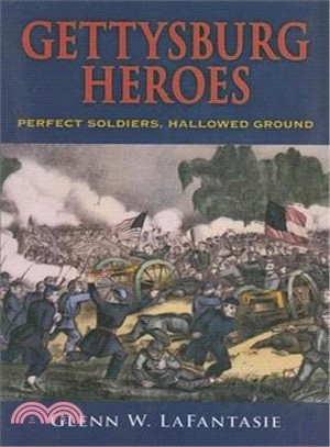 Gettysburg Heroes: Perfect Soldiers, Hallowed Ground