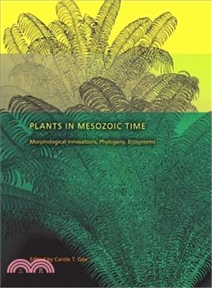 Plants in Mesozoic Time ─ Morphological Innovations, Phylogeny, Ecosystems