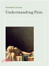 Understanding Pain ─ Exploring the Perception of Pain