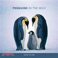 Penguins in the Wild