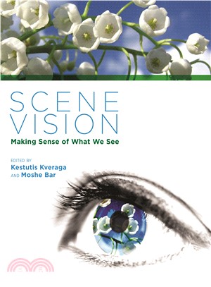 Scene Vision ─ Making Sense of What We See