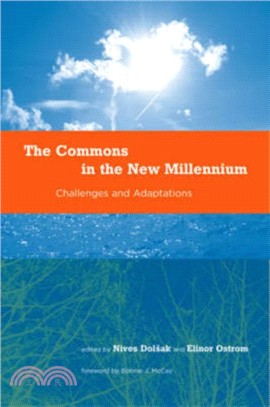 Commons in the New Millennium