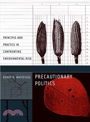 Precautionary Politics ― Principle And Practice in Confronting Environmental Risk