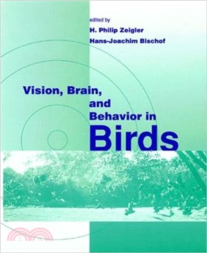 Vision, Brain, and Behavior in Birds