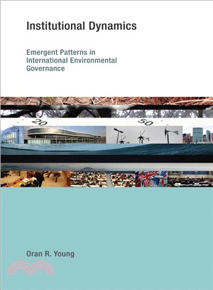 Institutional Dynamics: Emergent Patterns in International Environmental Governance