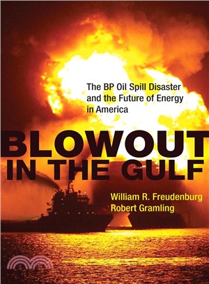 Blowout in the Gulf ─ The BP Oil Spill Disaster and the Future of Energy in America