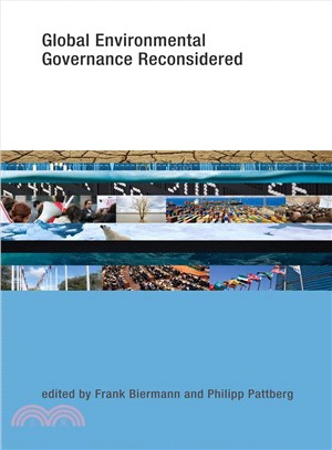 Global Environmental Governance Reconsidered