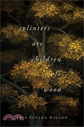 Splinters Are Children of Wood