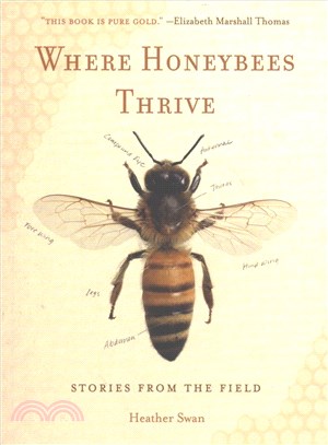 Where Honeybees Thrive ─ Stories from the Field