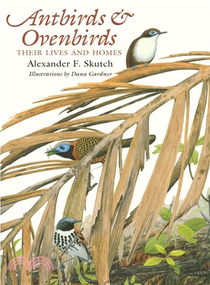 Antbirds & Ovenbirds ― Their Lives and Homes