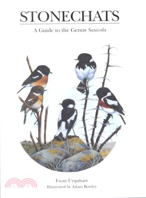 Stonechats ― A Guide to the Genus Saxicola