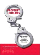 Property Outlaws ─ How Squatters, Pirates, and Protesters Improve the Law of Ownership