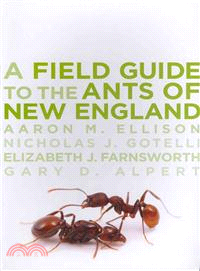 A Field Guide to the Ants of New England